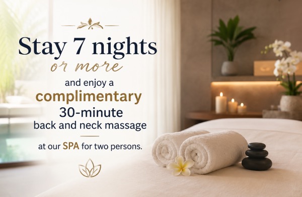 Massage offer